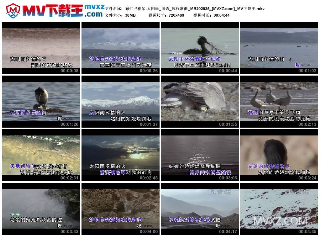 布仁巴雅尔-太阳雨_国语_流行歌曲_MB202925